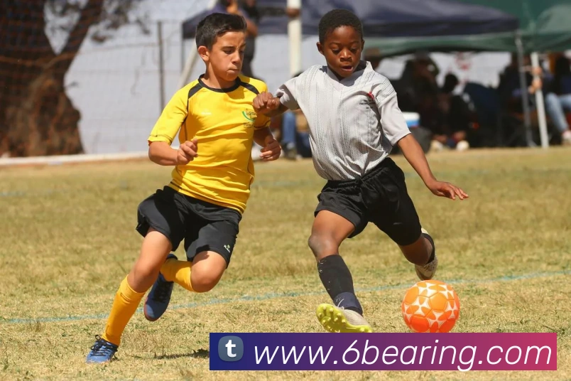 App Interface Preview